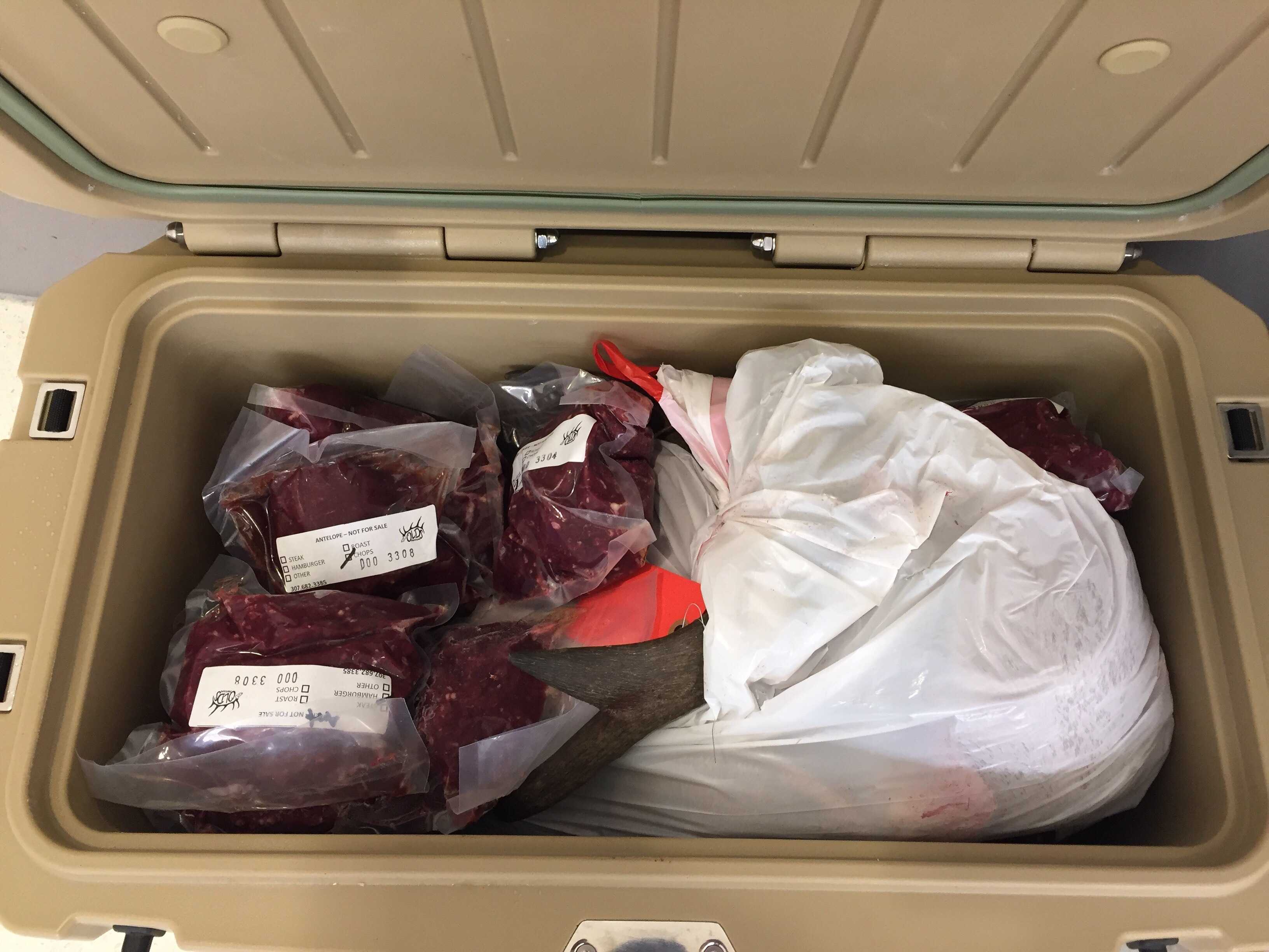 Makanan Mentah dan Produk Hewani Segar