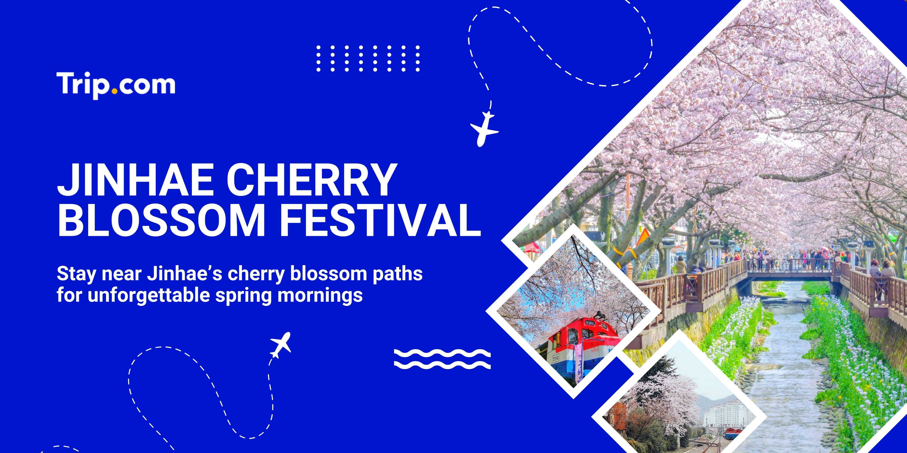 Jinhae Cherry Blossom Festival Travel Guide | Trip.com