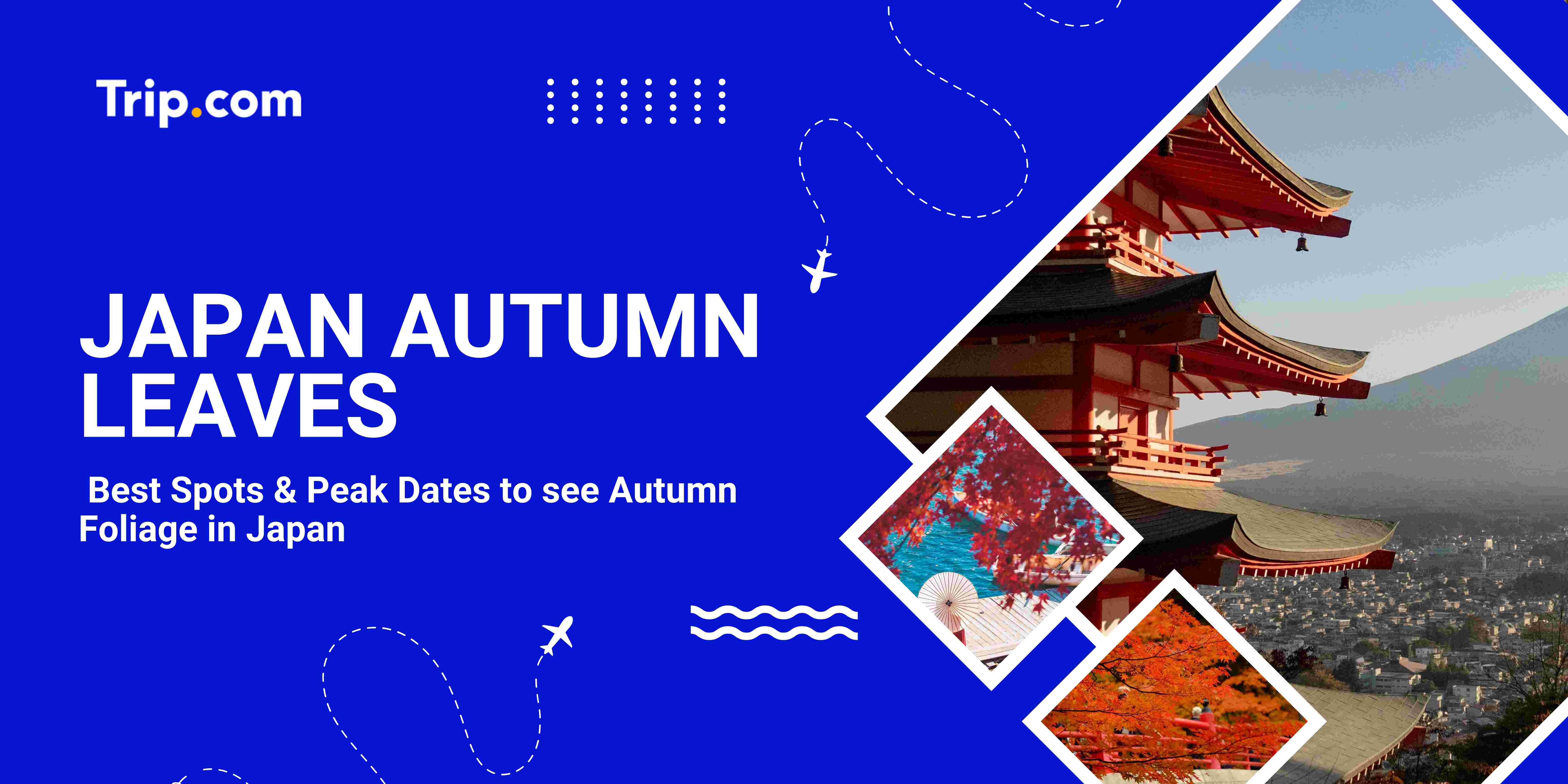 Japan Autumn Foliage and Leaves