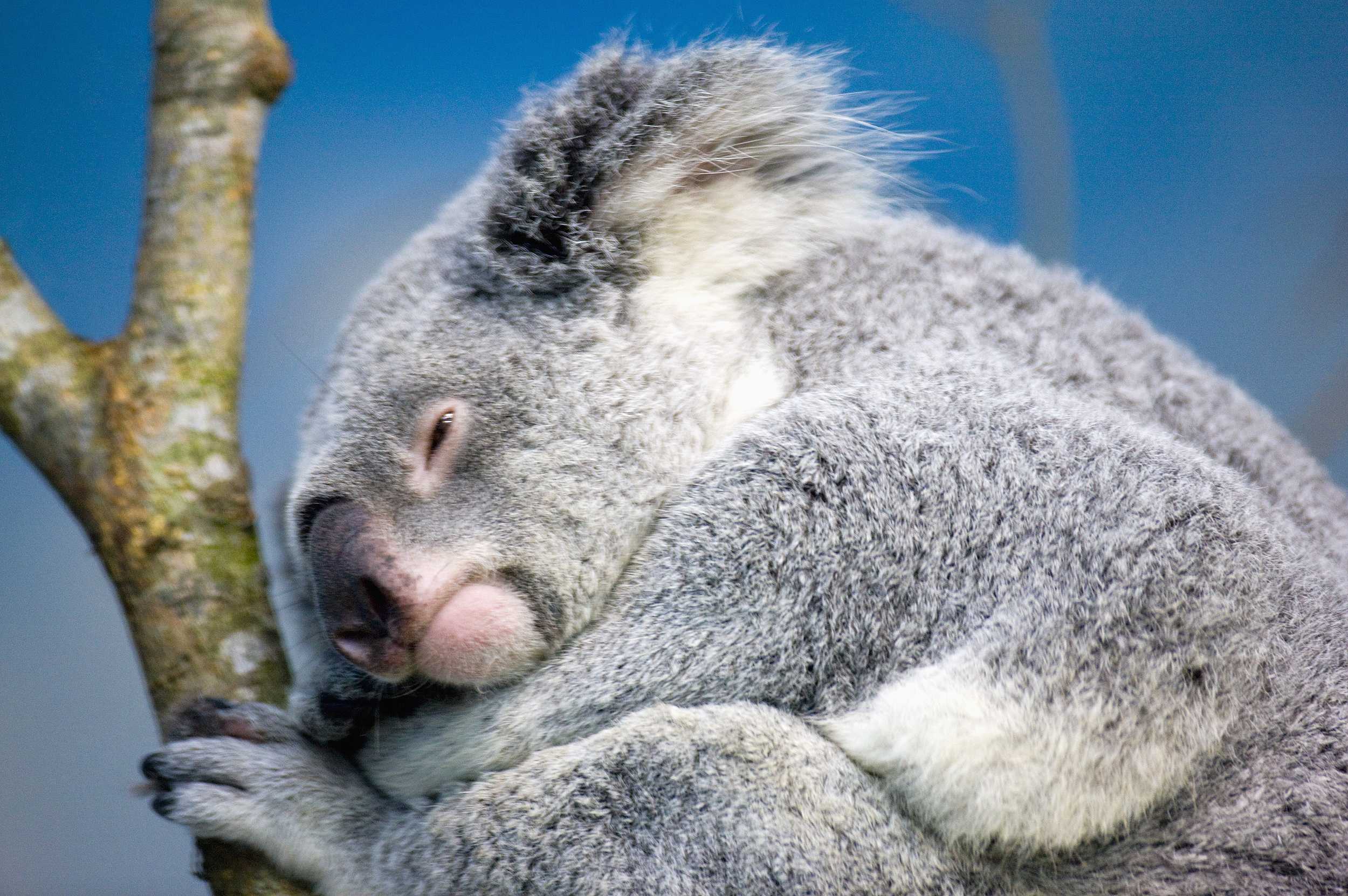 Чем занятся в Тайбэее