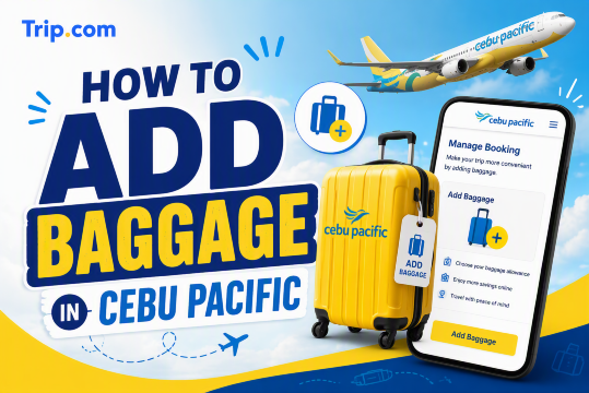 How to Add Baggage in Cebu Pacific