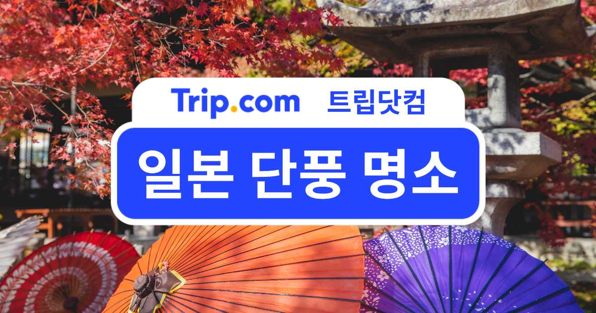 일본 단풍 명소 BEST : 2026년 일본 아름다운 단풍 여행지 | 트립닷컴