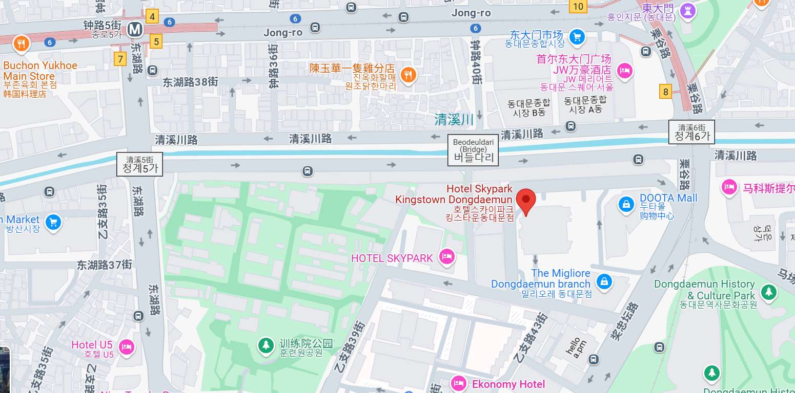 Hotel Skypark Kingstown Dongdaemun Location
