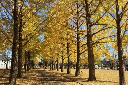 水戸のおすすめ特集