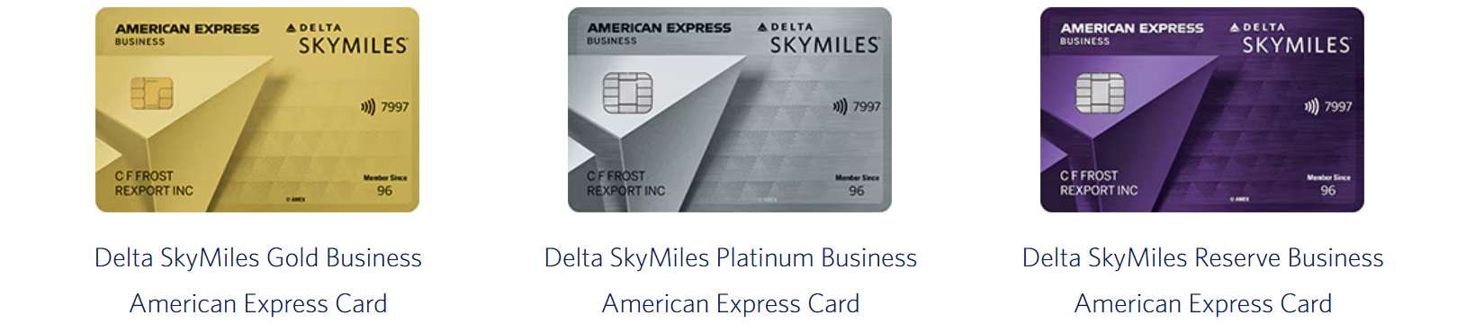 Delta Business Credit Cards (3 Types)