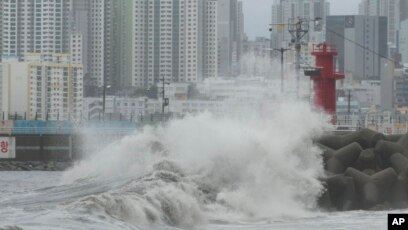 Busan Weather