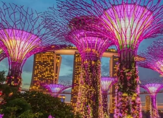 ガーデンズバイザベイの撮影ベストタイム＆スポット