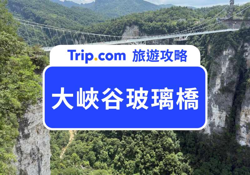 大峽谷玻璃橋全攻略|阿凡達電影場景重現!挑戰全球最高玻璃橋,門票、交通、行程建議一次看