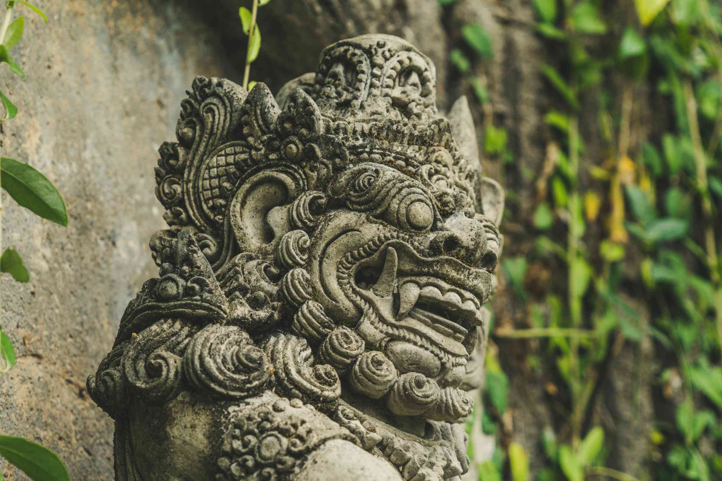 лес обезьян в убуде, полезные советы