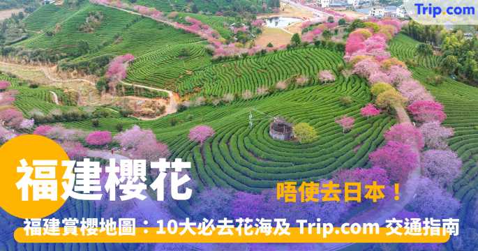 福建櫻花 | 福建賞櫻地圖：10大必去花海及交通指南 | Trip.com