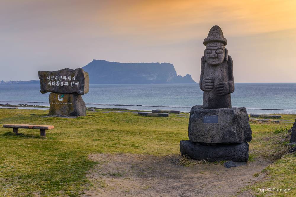 대구에서 제주 항공권