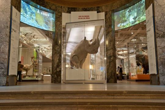 Best Way to Visit the Royal Ontario Museum-Indigenous Galleries