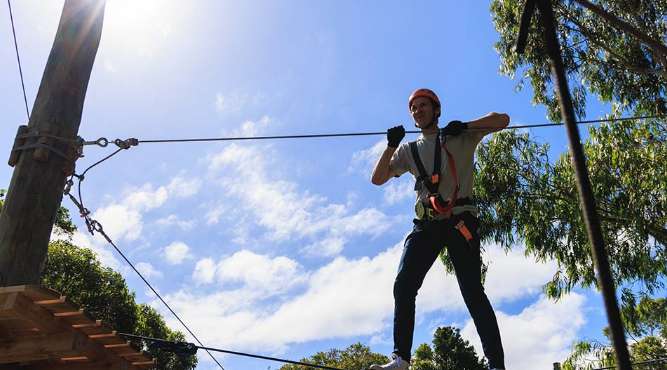 Top Things to Do at Taronga Zoo Sydney