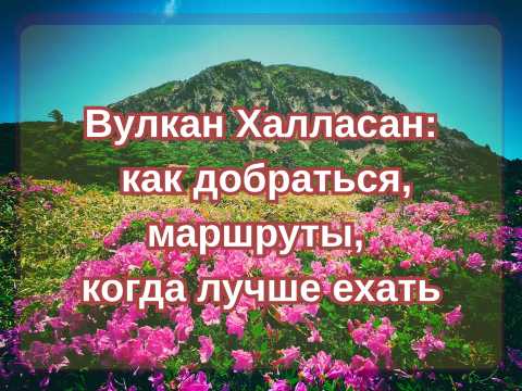 Вулкан Халласан 2026: как добраться, маршруты, когда лучше ехать| Trip.com