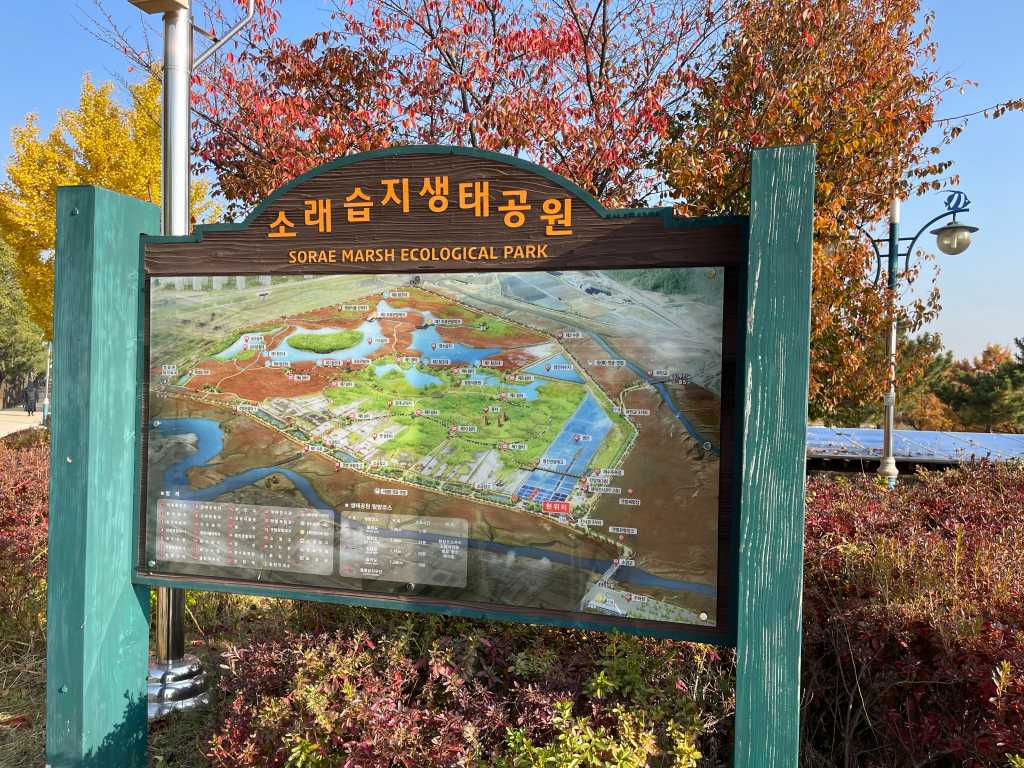 Sorae Marsh Ecological Park