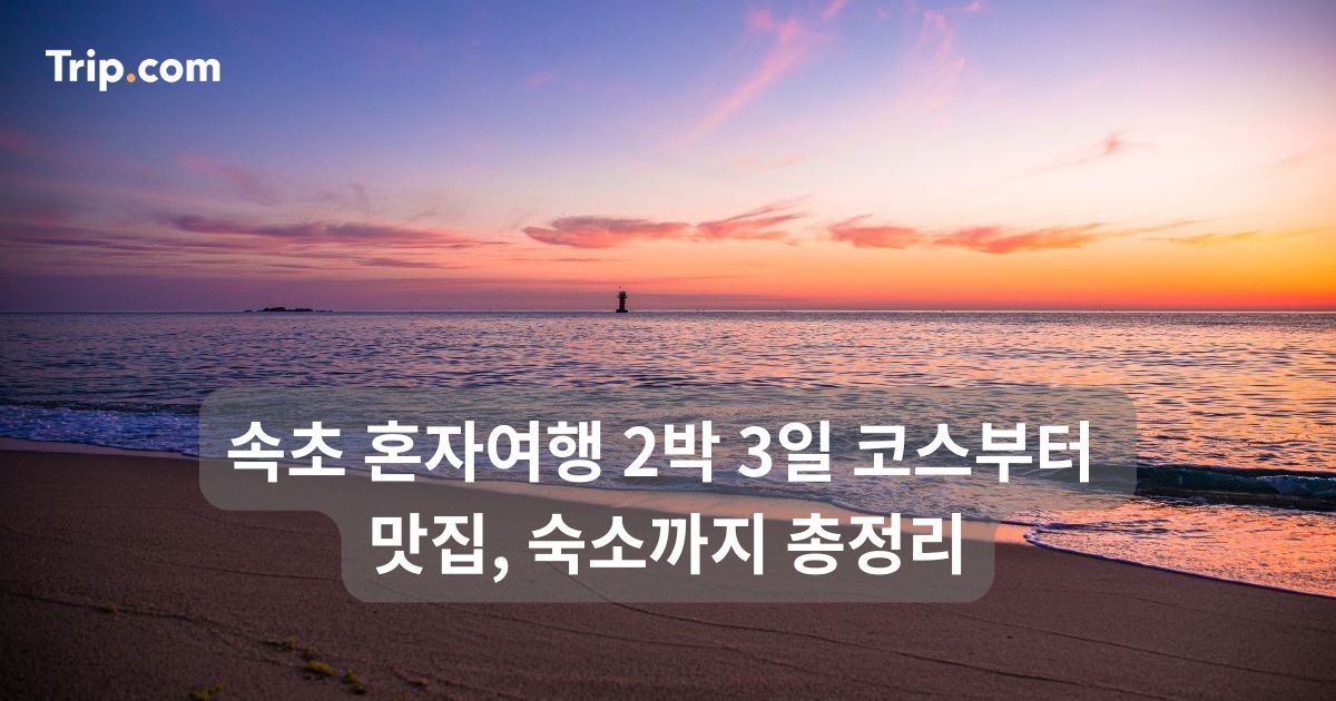 속초 혼자여행 2박 3일 코스부터 맛집, 숙소까지 총정리 | 트립닷컴