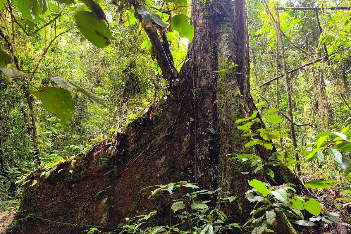 Tawau Hills Park