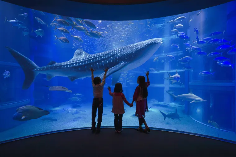 Osaka Aquarium Kaiyukan