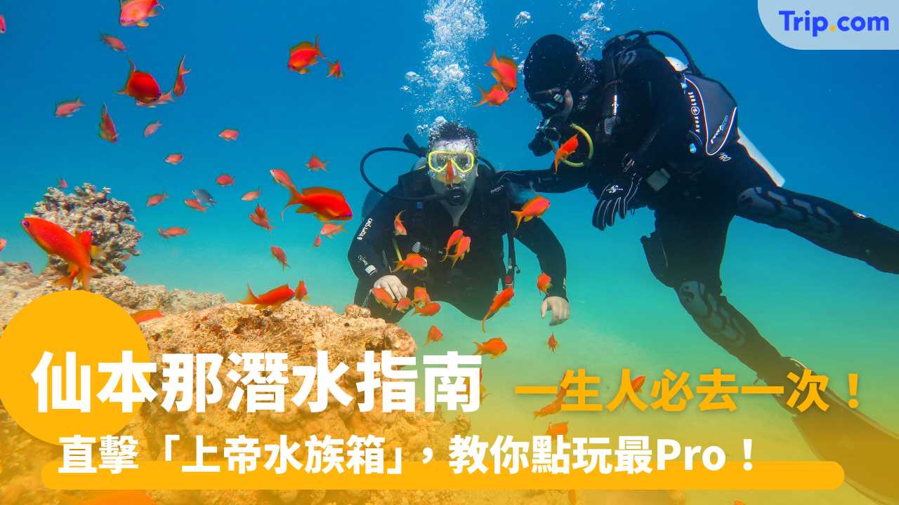 仙本那潛水懶人包