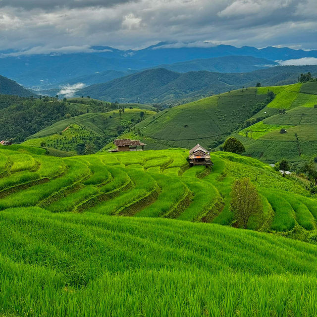 บ้านป่าบงเปียง - ที่เที่ยวเชียงใหม่