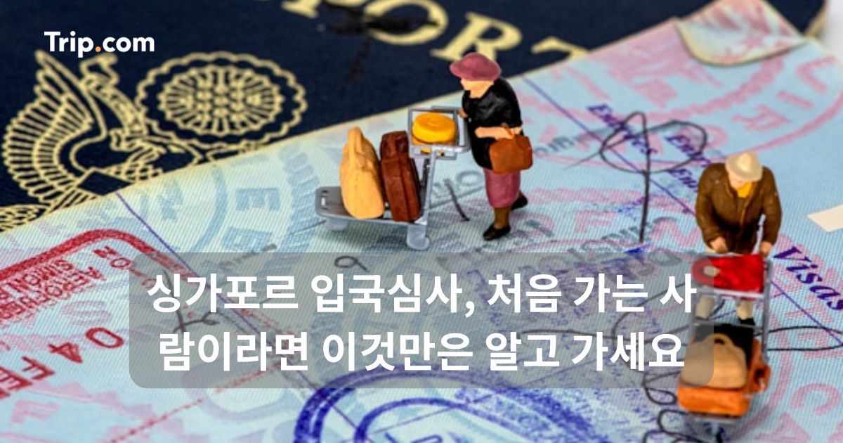 싱가포르 입국심사