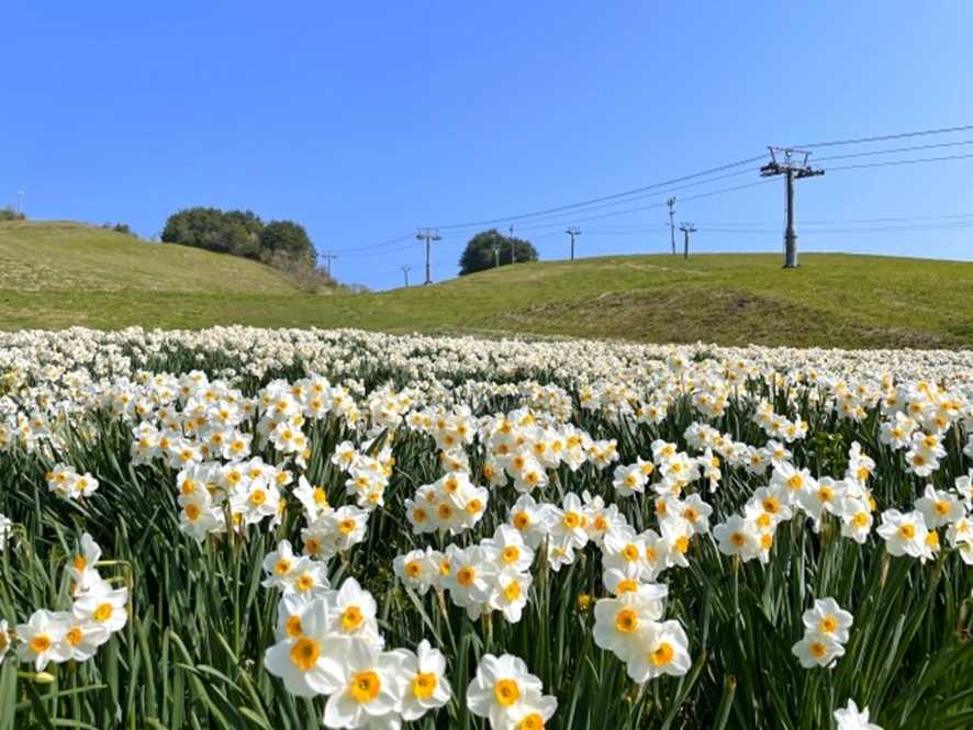 神鍋(かんなべ)高原(兵庫)