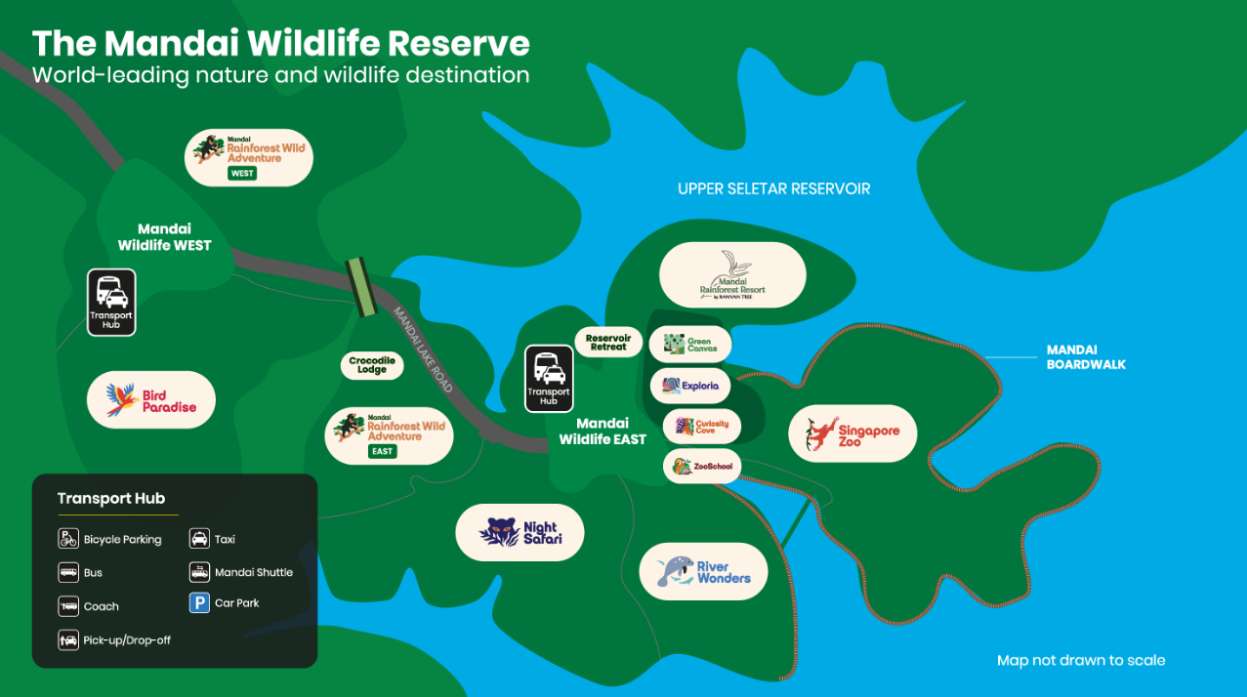 Night Safari Map 2