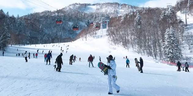 Ski Resorts