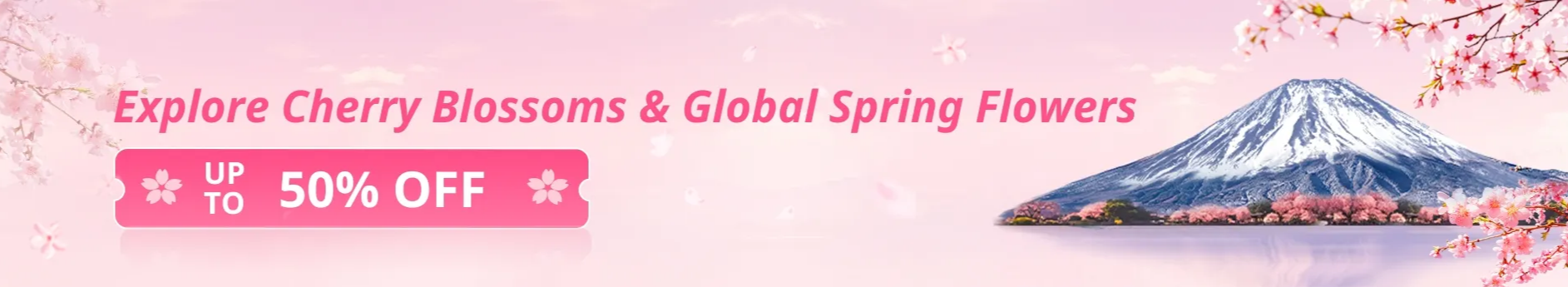 Cherry Blossom Promotions