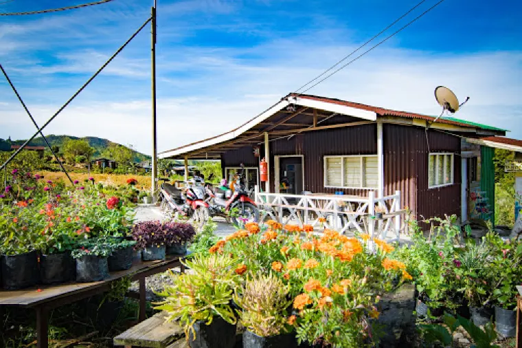 Singgah Mata Campstay