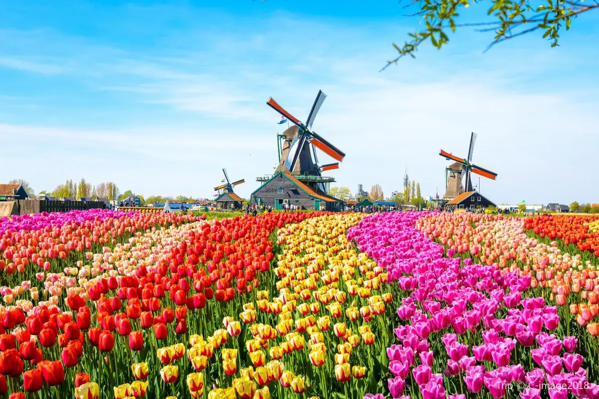 Netherlands