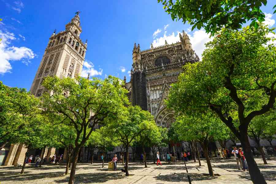 Seville Cathedral