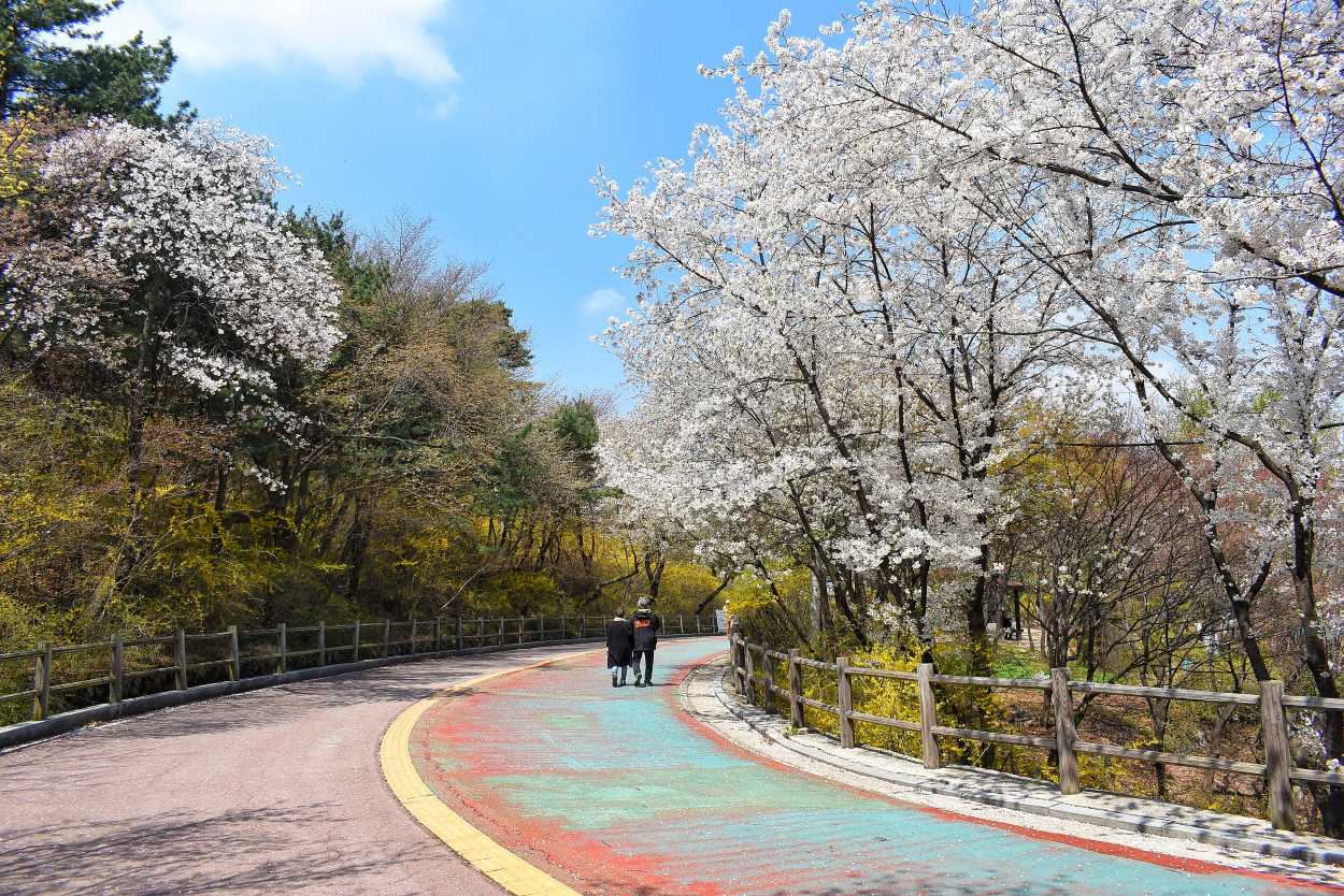 ภูเขานัมซาน - อากาศเกาหลีเดือนมีนาคม