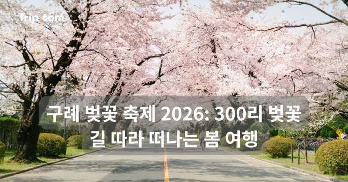 구례 벚꽃 축제 2026: 300리 벚꽃길 따라 떠나는 봄 여행 | 트립닷컴