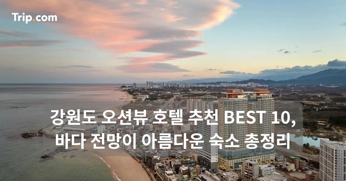 강원도 오션뷰 호텔
