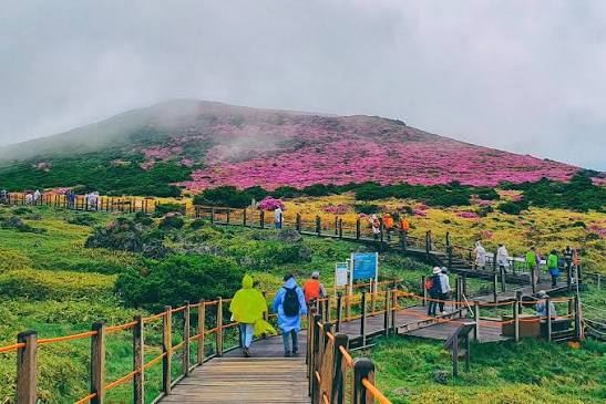 Jeju island