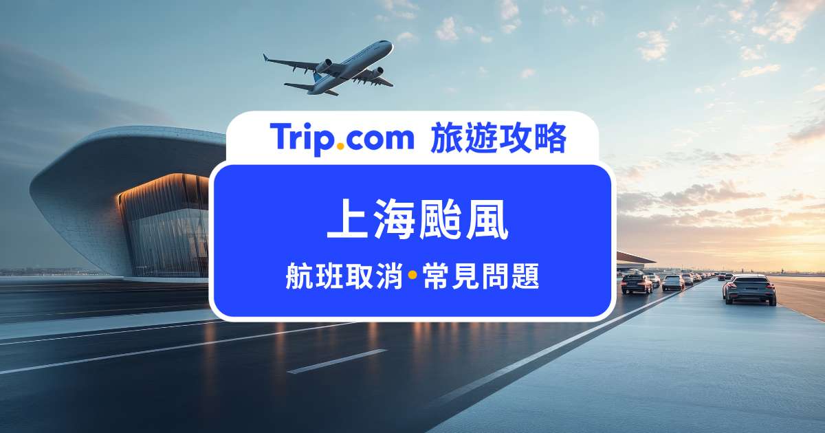 上海旅遊遇颱風注意事項：景點會關嗎？颱風假、飛機停飛處理一次看