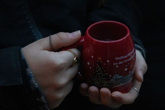ドイツ クリスマスマーケット