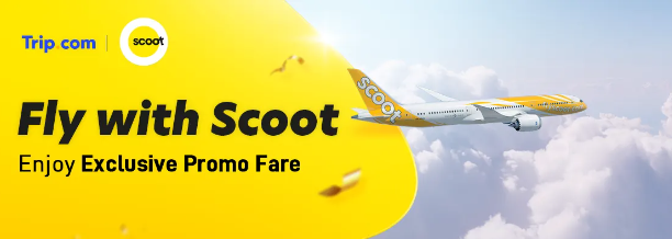 Fly with Scoot | Trip.com