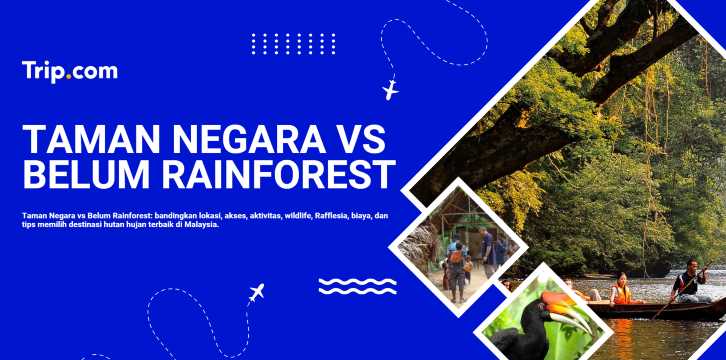 Taman Negara vs Belum Rainforest: Mana yang Lebih Menarik? | Trip.com