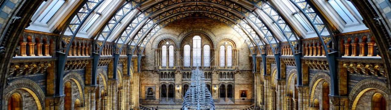 Getting the train to the London Natural History Museum: Nearest station and popular routes