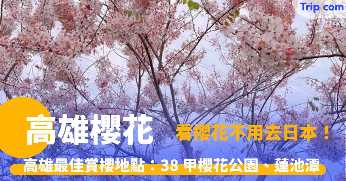 高雄櫻花