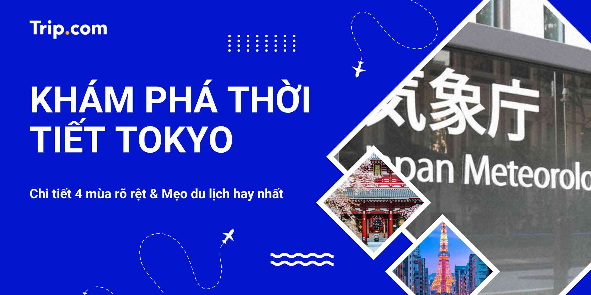 Khám Phá Thời Tiết Tokyo 2026: Chi Tiết 4 Mùa Rõ Rệt & Mẹo Du Lịch Hay Nhất | Trip.com