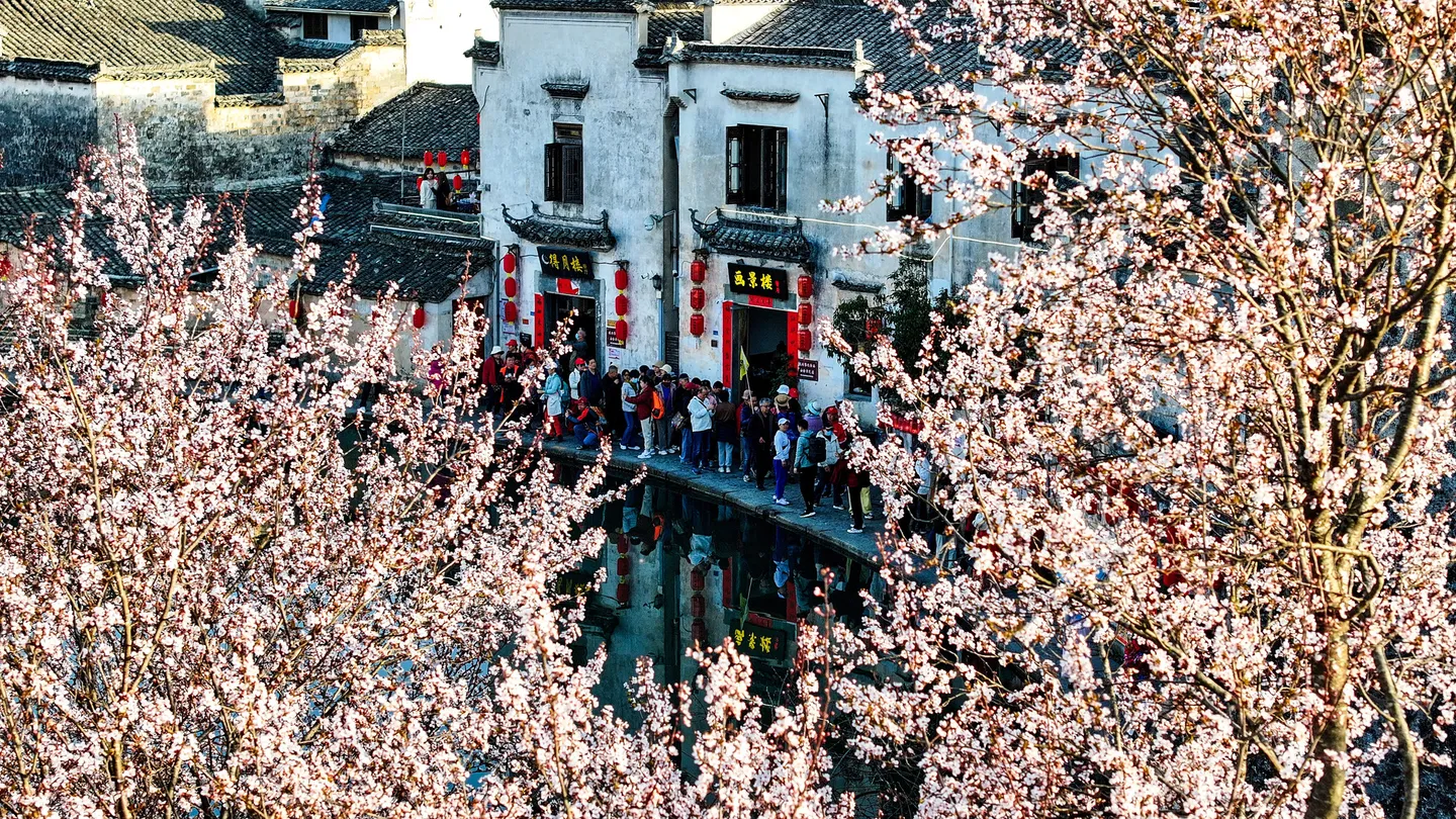 Recommended Huangshan Tour - 2-5 Day Itineraries