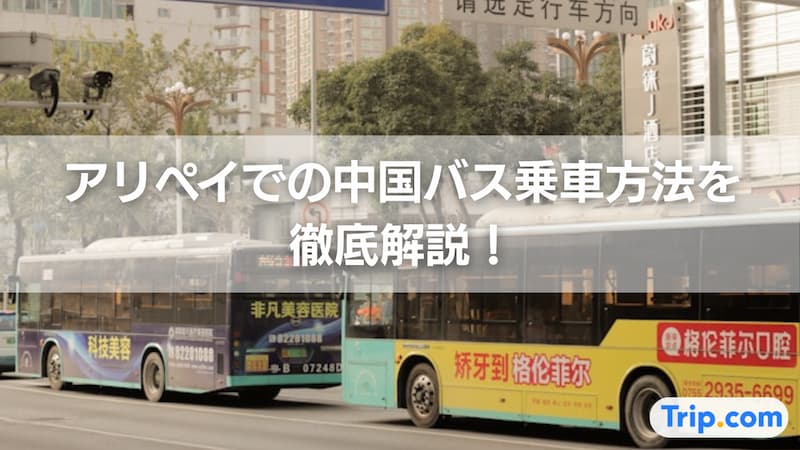 アリペイ バス 乗り方