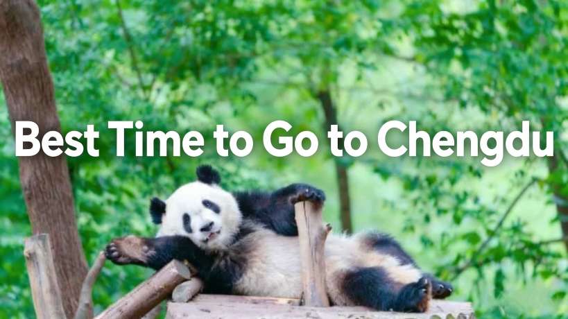 Best Time to Go to Chengdu: Weather, Crowds & Activities