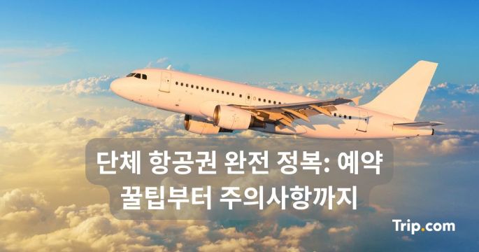 단체 항공권 완전 정복: 예약 꿀팁부터 주의사항까지 | 트립닷컴
