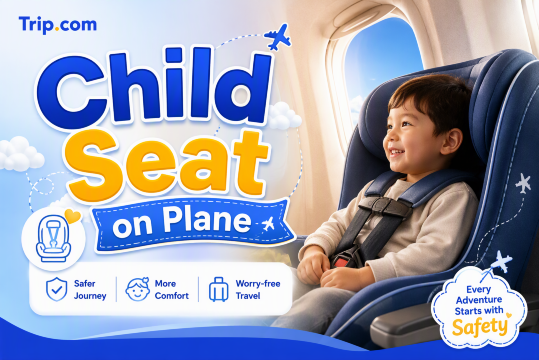 **Child Seat: Plane**