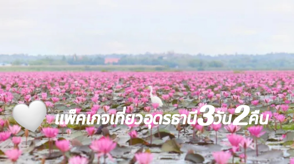 อุดรธานี วางแผนการเดินทาง 3วัน2คืน แพ็คเกจท่องเที่ยว