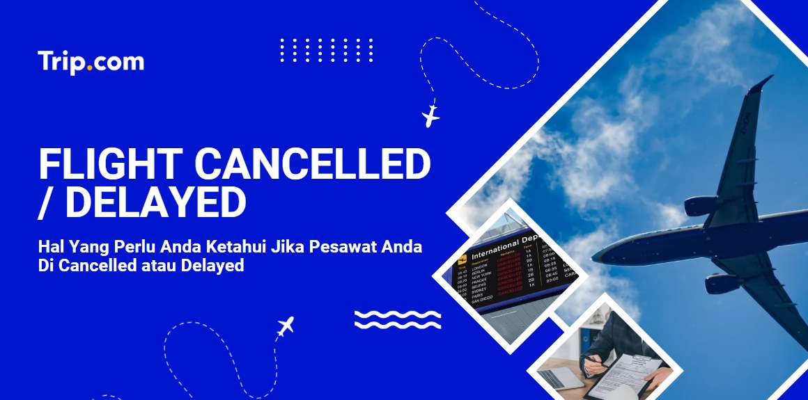 Flight Cancelled